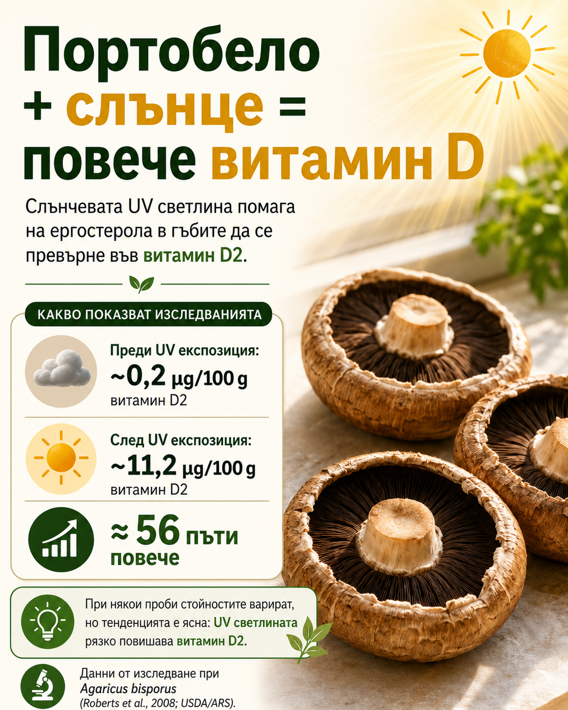 Портобело гъби и слънчева UV светлина — повече витамин D2